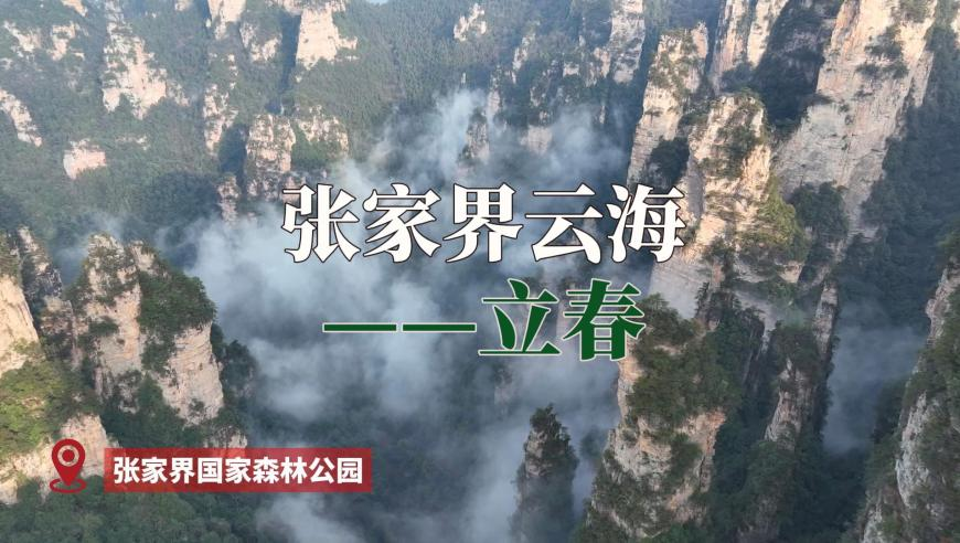 京东正式启动外卖业务,澳门蜘蛛网4肖2码网址,全面解答解释落实_公测版V14.87