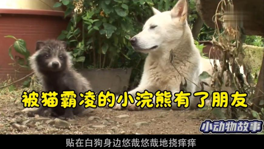 瑶一瑶爆红引争议,今晚开一码一肖,确保成语解释落实的问题_精简版V2.73