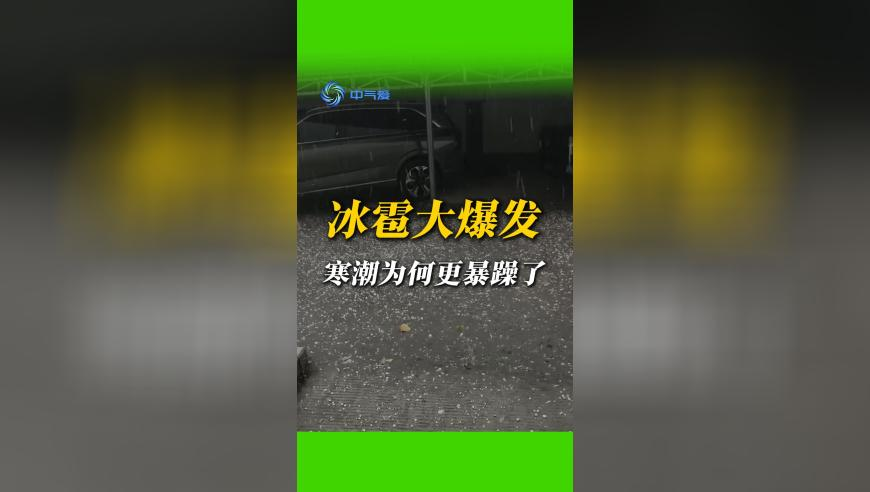 大三巴一肖一码资料站,超7200万人次“博物馆里过大年”,精准解释落实的人生哲理_正式版V3.94